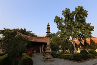 泉州古城三日游 开元寺 清净寺 府文庙 天后宫 清源山 洛阳桥 德济门遗址 九日山 承天寺 西湖