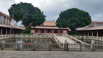 阅尽繁华,终归平淡 泉州开元寺 老街 府文庙