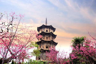 泉州清源山 博物馆 府文庙 清净寺 开元寺纯玩一日游 本地精华 上门接站