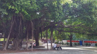 半城烟火半城仙 在泉州老街与庙宇间寻访繁华后的平淡