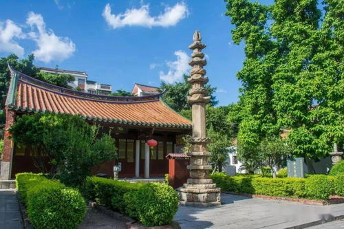 收藏 泉州 文保 知多少 涵盖五大类别,共945项